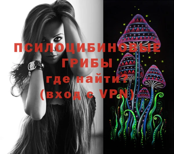 гидропоника Богородск