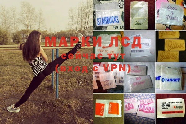 гидропоника Богородск