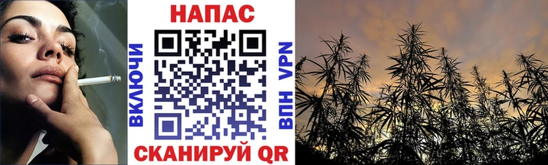 Бошки Шишки планчик  наркота  kraken ТОР  Краснознаменск 